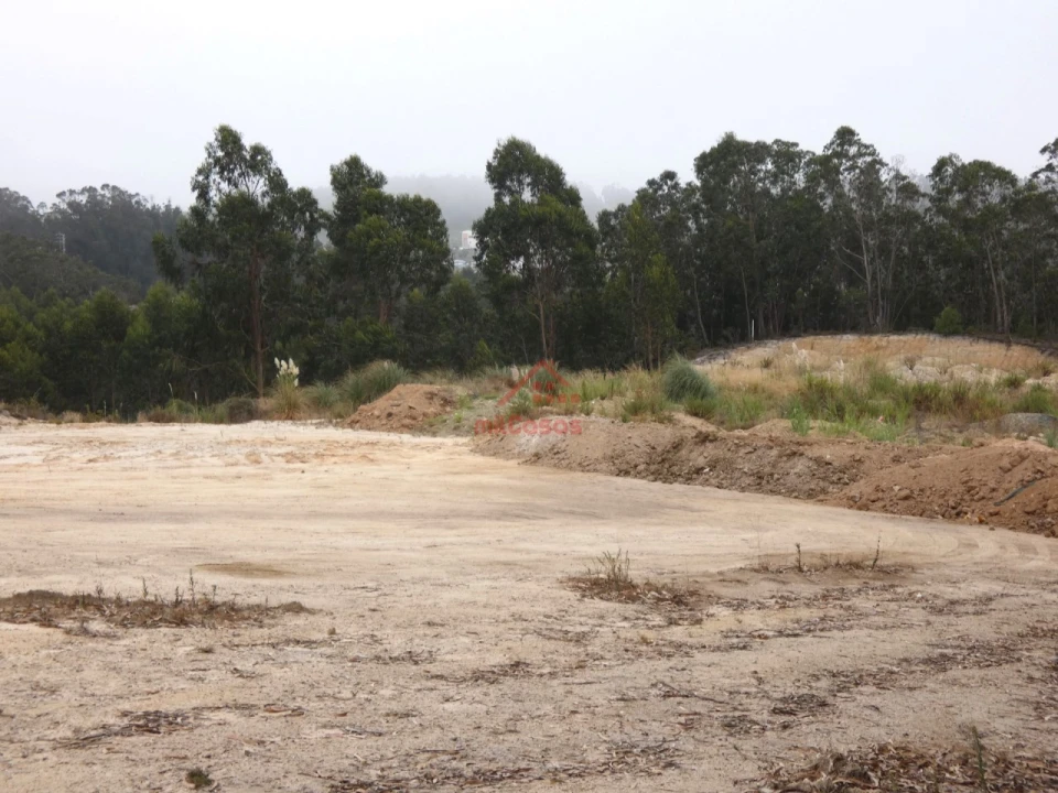 Terreno Comércio / Armazém para Venda em Santa Maria, São Pedro e Matacães Foto 12