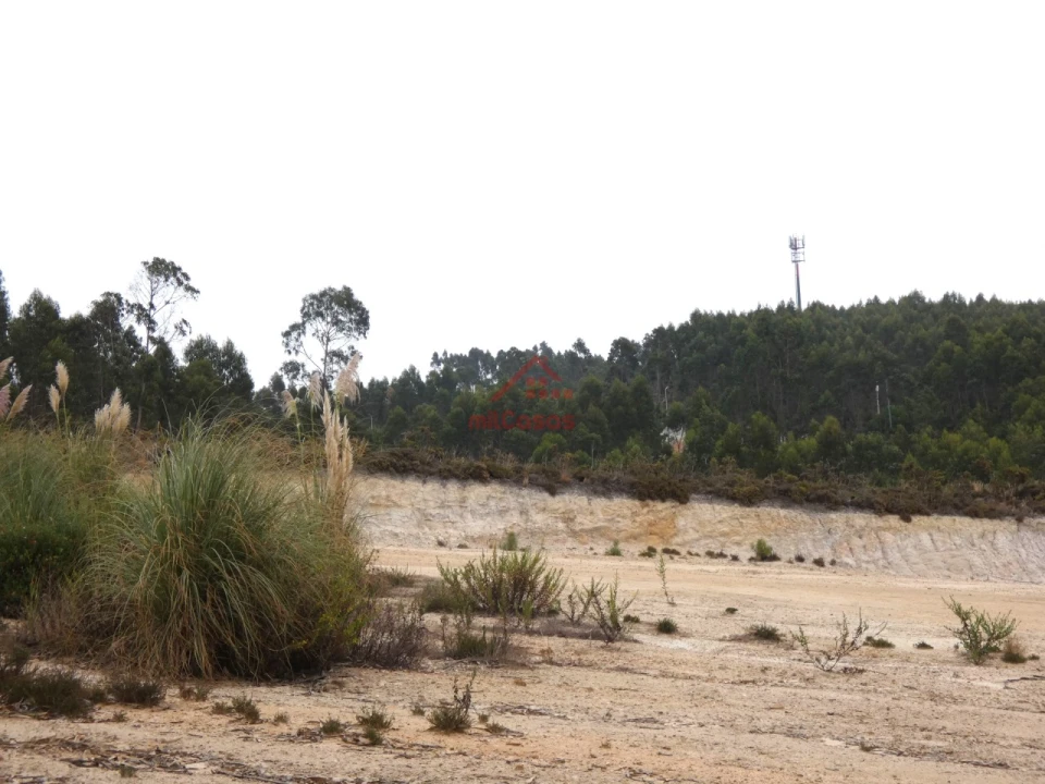 Terreno Comércio / Armazém para Venda em Santa Maria, São Pedro e Matacães Foto 13