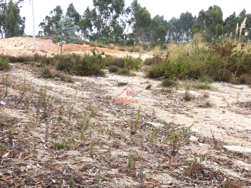 Terreno Comércio / Armazém para Venda em Santa Maria, São Pedro e Matacães Foto 18