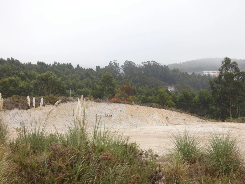 Terreno Comércio / Armazém para Venda em Santa Maria, São Pedro e Matacães Foto 19