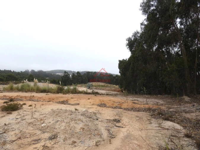 Terreno Comércio / Armazém para Venda em Santa Maria, São Pedro e Matacães Foto 3