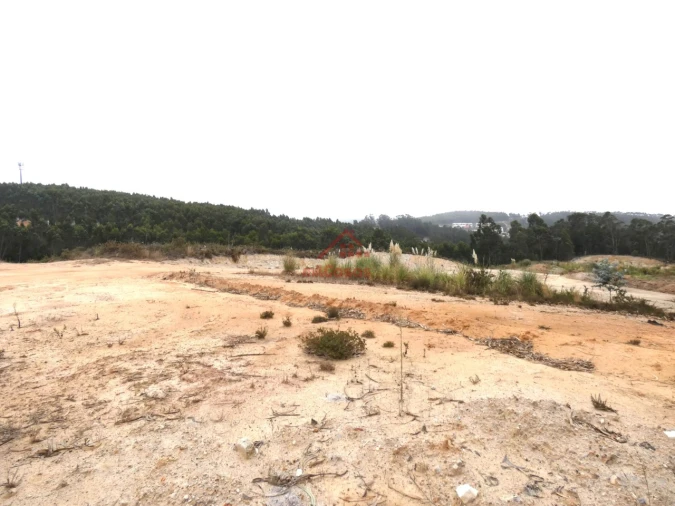 Terreno Comércio / Armazém para Venda em Santa Maria, São Pedro e Matacães Foto 1