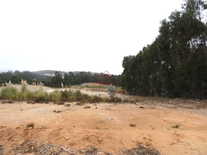 Terreno Comércio / Armazém para Venda em Santa Maria, São Pedro e Matacães Foto 4