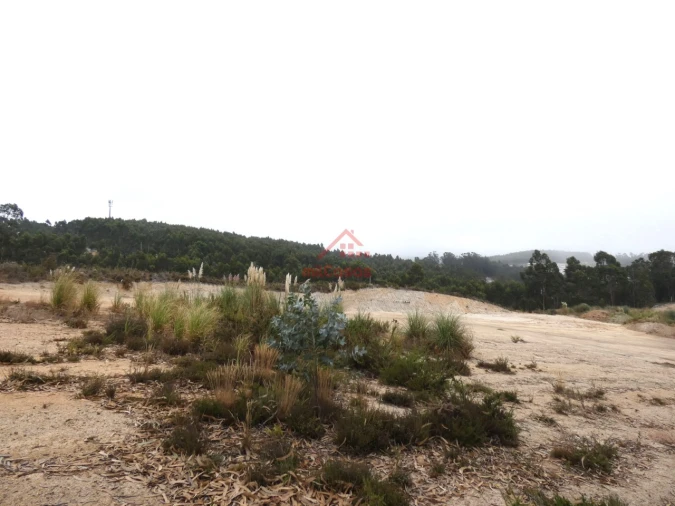 Terreno Comércio / Armazém para Venda em Santa Maria, São Pedro e Matacães Foto 2