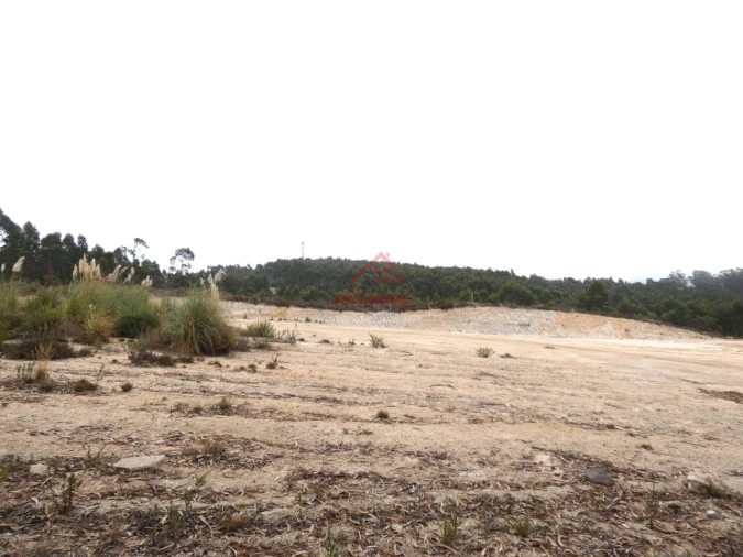 Terreno Comércio / Armazém para Venda em Santa Maria, São Pedro e Matacães Foto 11