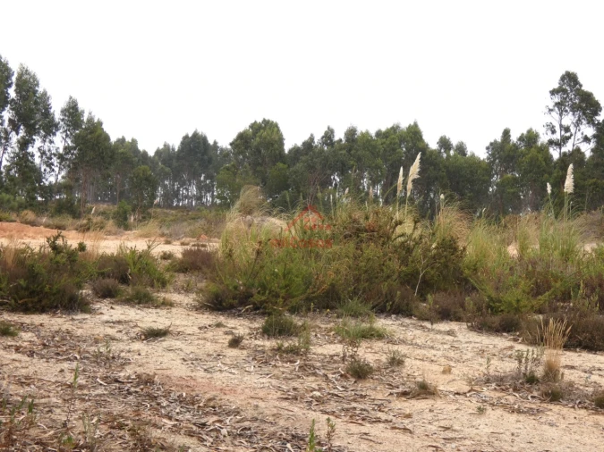 Terreno Comércio / Armazém para Venda em Santa Maria, São Pedro e Matacães Foto 14