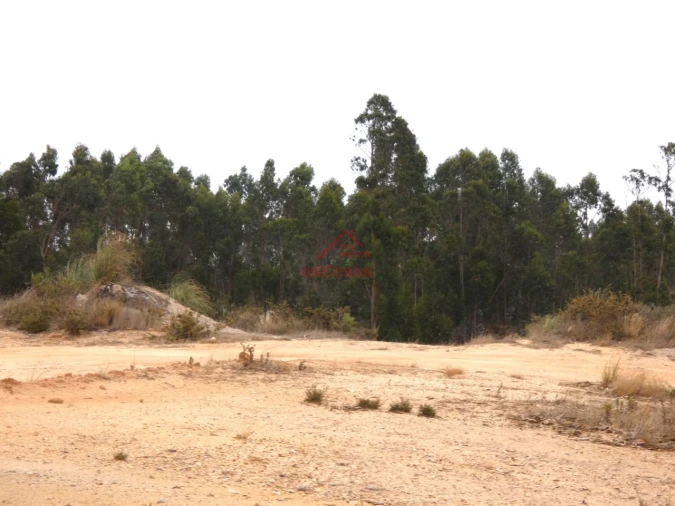 Terreno Comércio / Armazém para Venda em Santa Maria, São Pedro e Matacães Foto 17