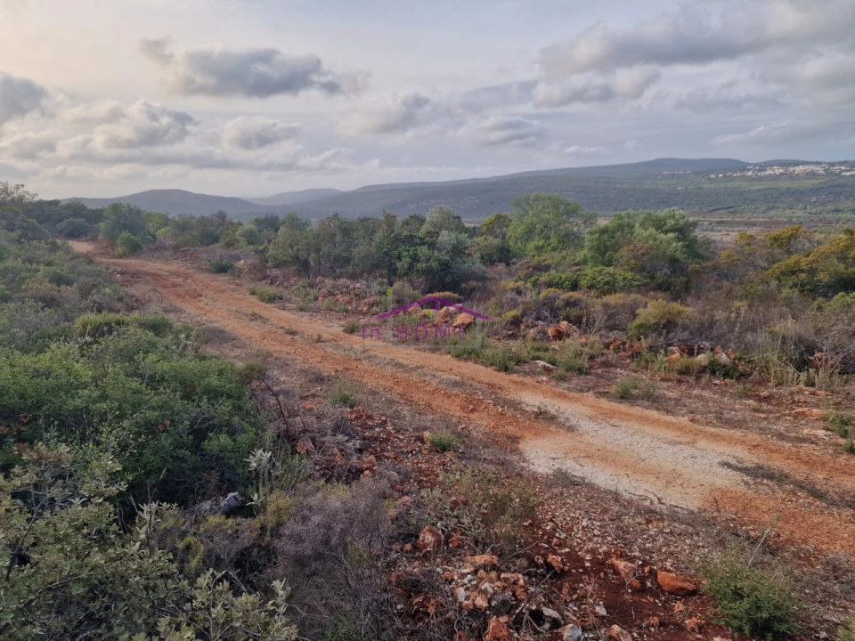 Terreno Agricola ou Rústico para Venda em Querença, Tôr e Benafim Foto 2