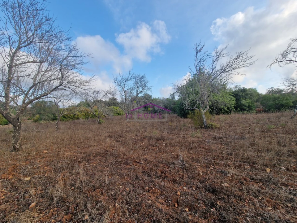 Terreno Agricola ou Rústico para Venda em Querença, Tôr e Benafim Foto 4