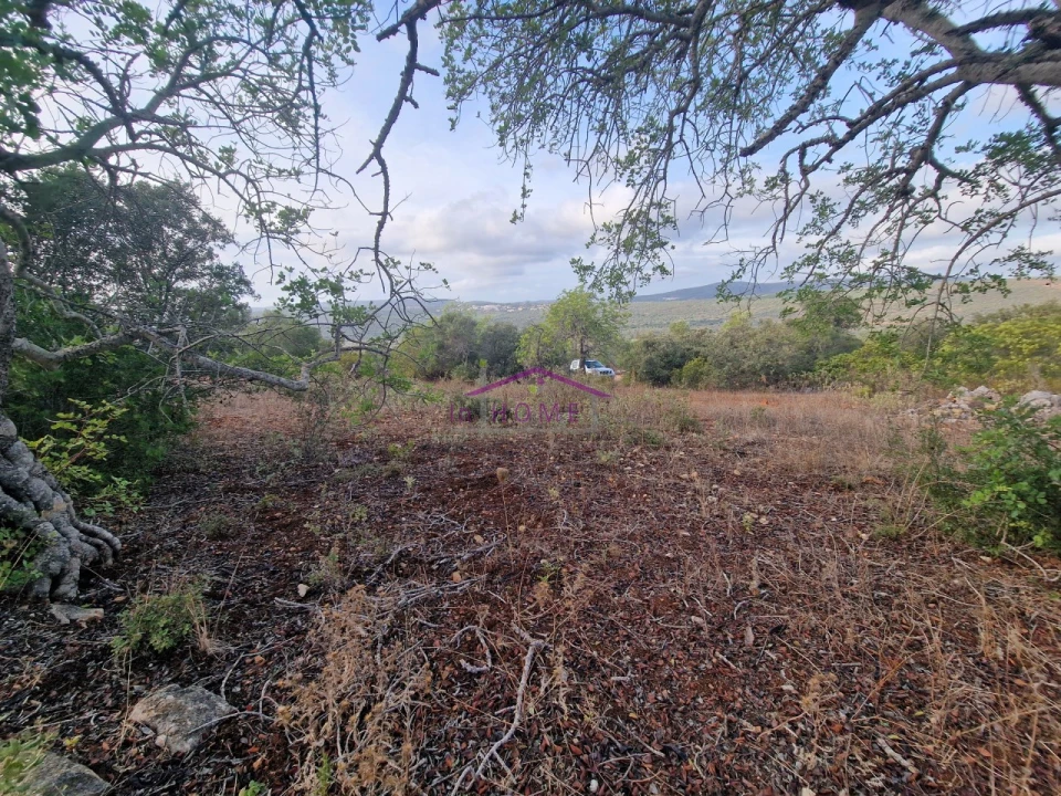 Terreno Agricola ou Rústico para Venda em Querença, Tôr e Benafim Foto 6