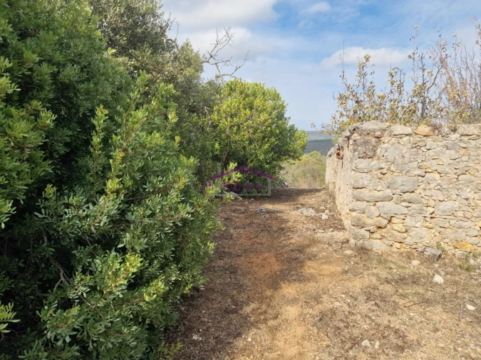 Terreno Agricola ou Rústico para Venda em Querença, Tôr e Benafim Foto 1