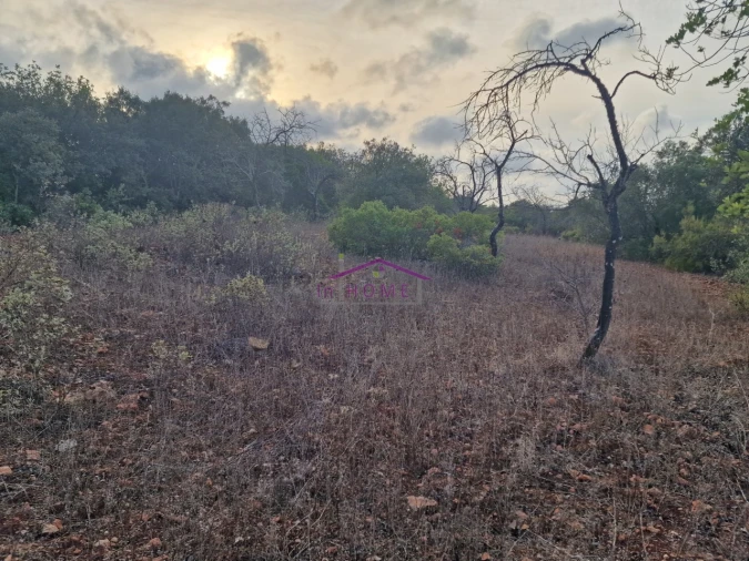 Terreno Agricola ou Rústico para Venda em Querença, Tôr e Benafim Foto 5
