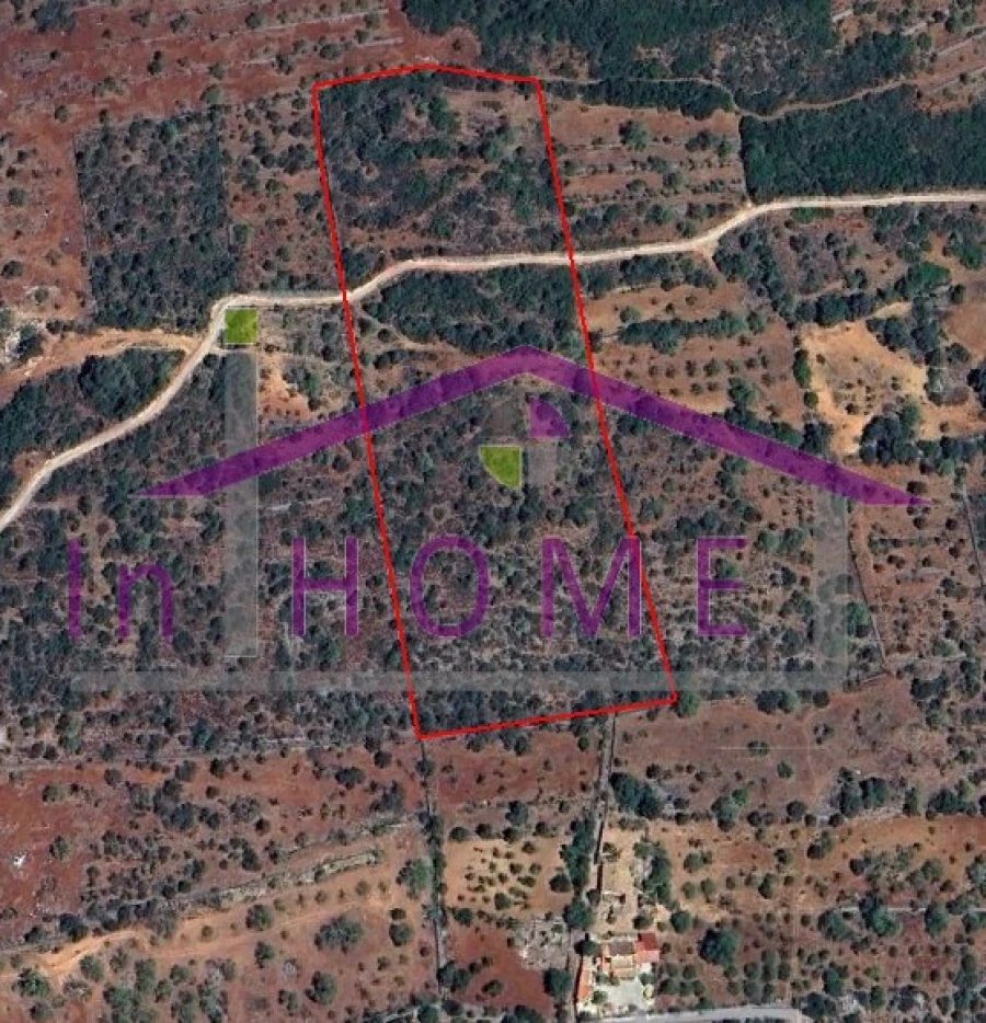 Terreno Agricola ou Rústico para Venda em Querença, Tôr e Benafim Foto 9