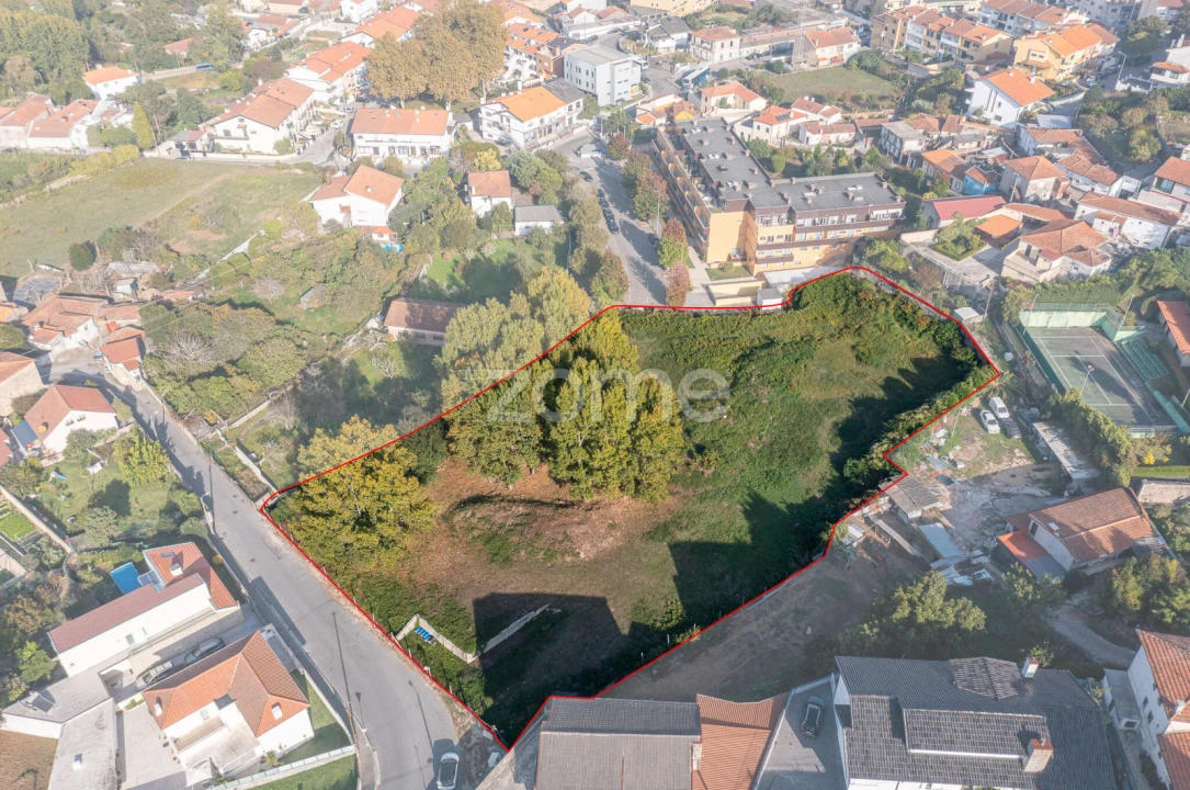 Terreno para Venda em Oliveira do Douro Foto 4