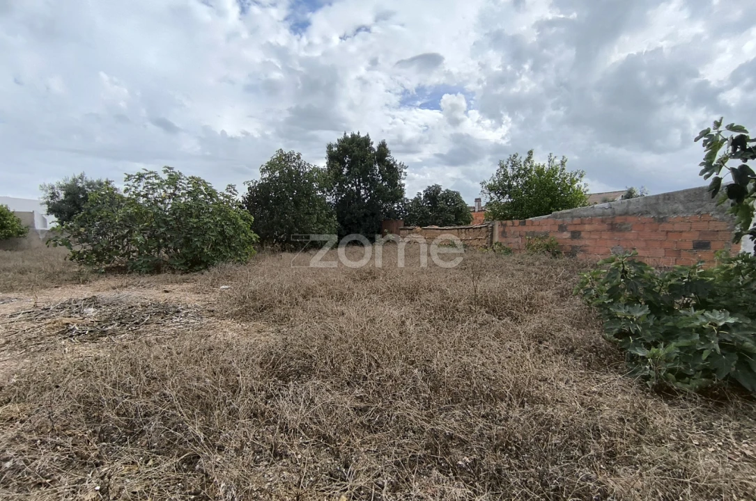 Moradia T3 para Venda em Santa Vitória e Mombeja Foto 25