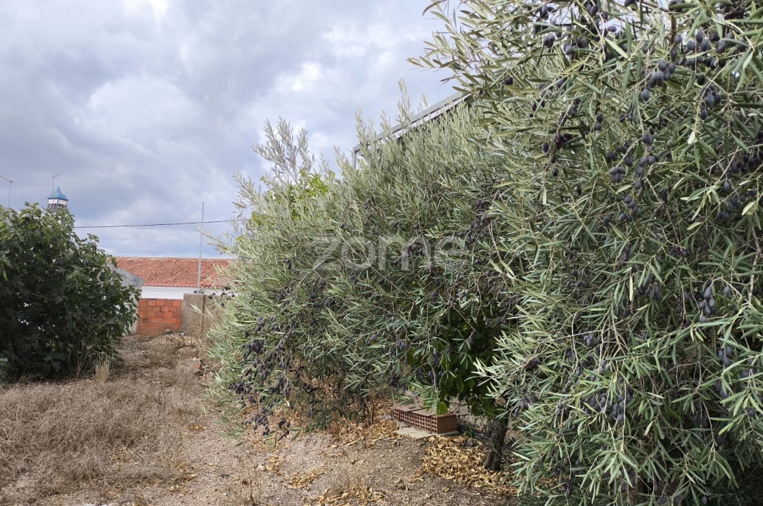 Moradia T3 para Venda em Santa Vitória e Mombeja Foto 28