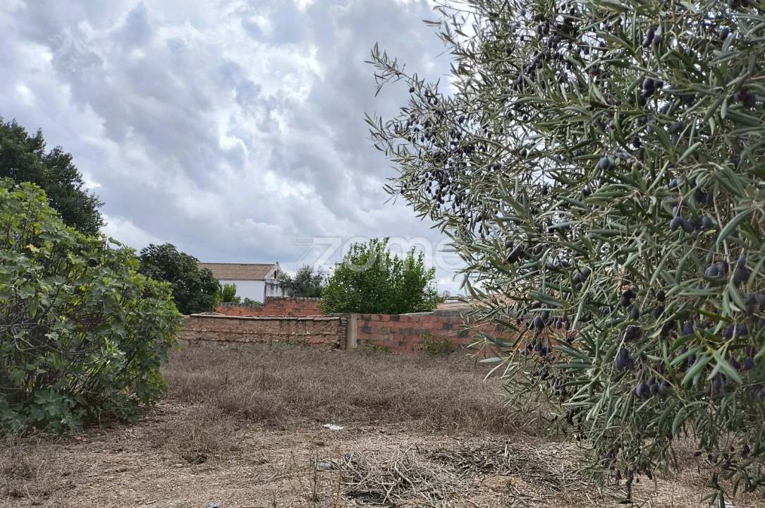 Moradia T3 para Venda em Santa Vitória e Mombeja Foto 29