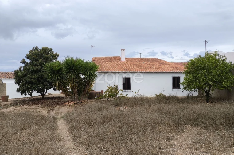 Moradia T3 para Venda em Santa Vitória e Mombeja Foto 33