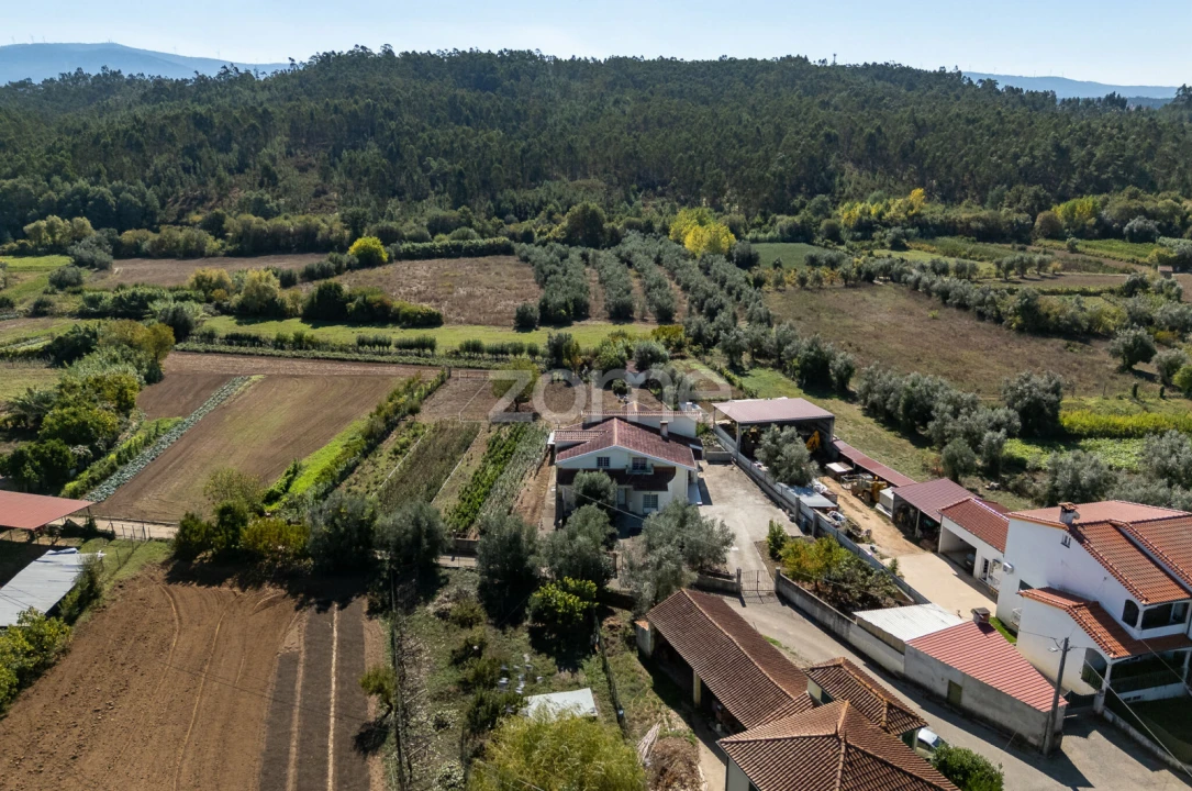 Moradia T3 para Venda em Semide e Rio Vide Foto 54