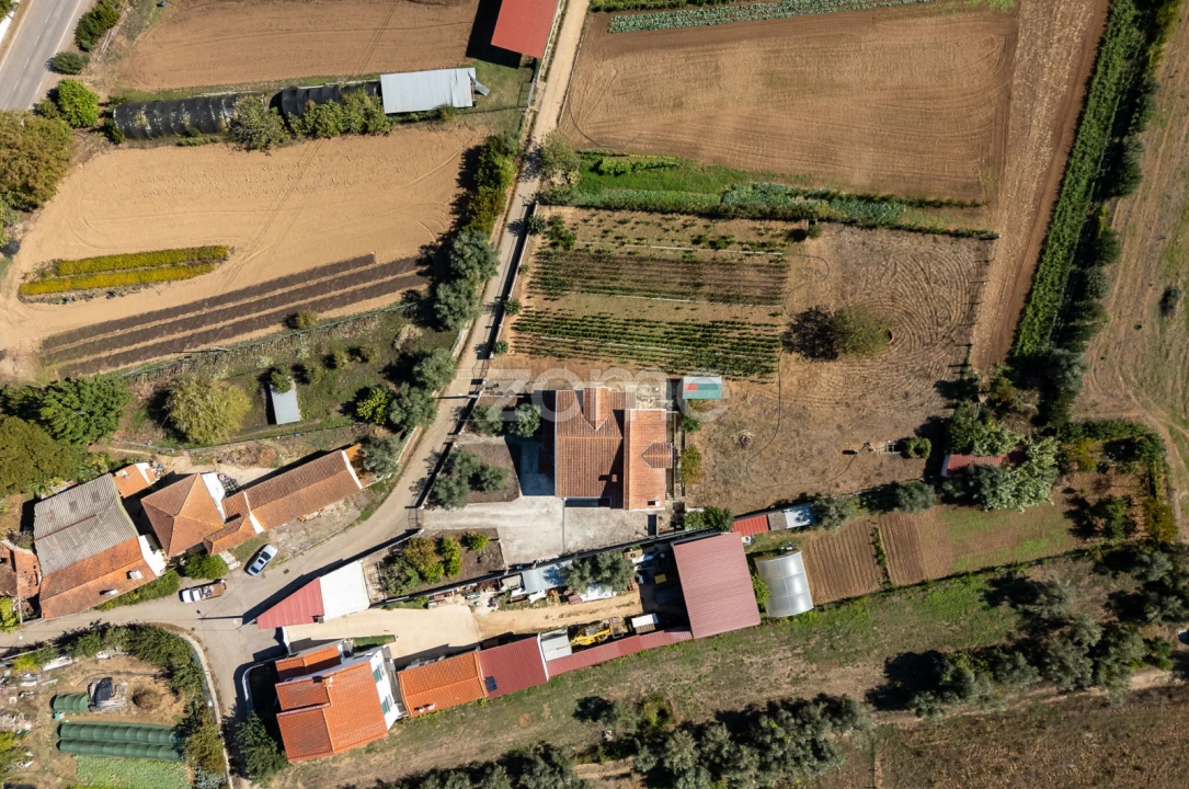 Moradia T3 para Venda em Semide e Rio Vide Foto 66