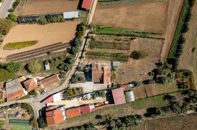 Moradia T3 para Venda em Semide e Rio Vide Foto 66