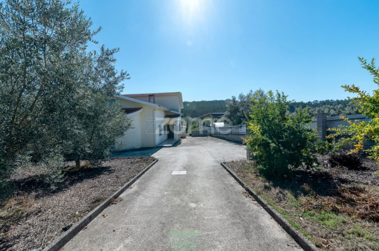 Moradia T3 para Venda em Semide e Rio Vide Foto 35