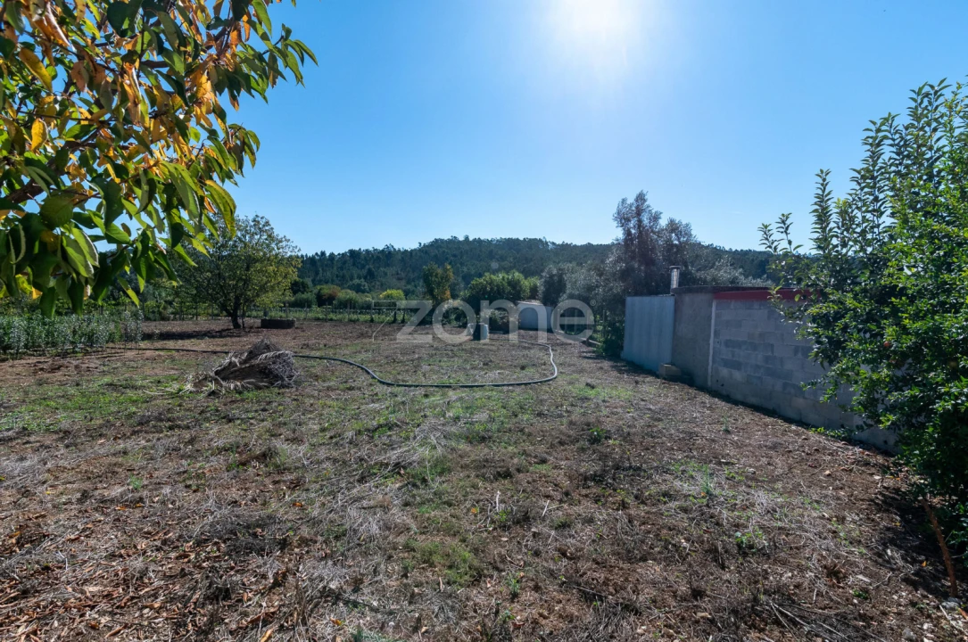 Moradia T3 para Venda em Semide e Rio Vide Foto 36