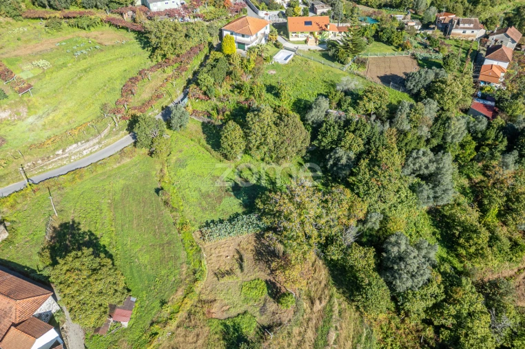 Terreno para Venda em Rebordões (Souto) Foto 5