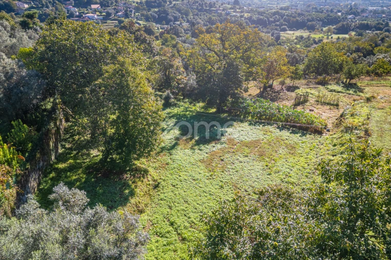 Terreno para Venda em Rebordões (Souto) Foto 7