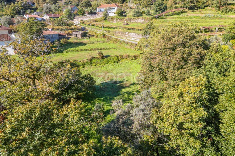 Terreno para Venda em Rebordões (Souto) Foto 14