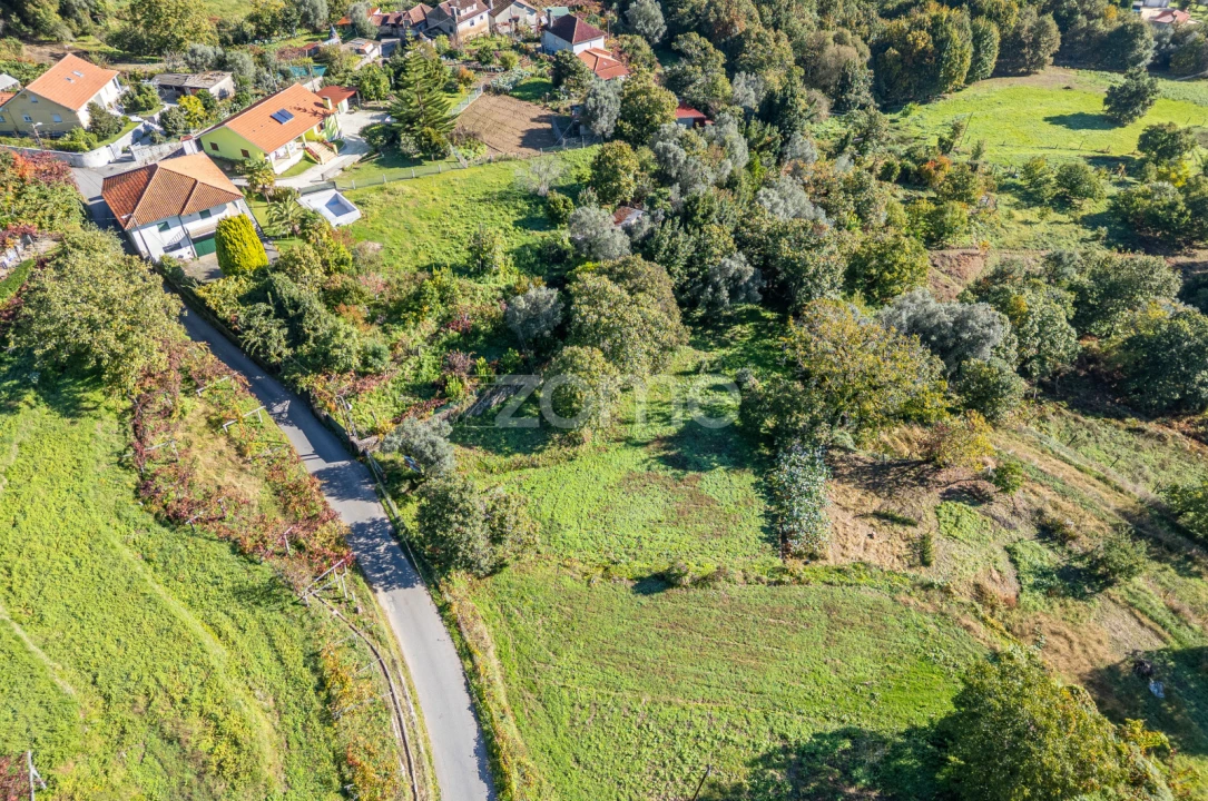 Terreno para Venda em Rebordões (Souto) Foto 4