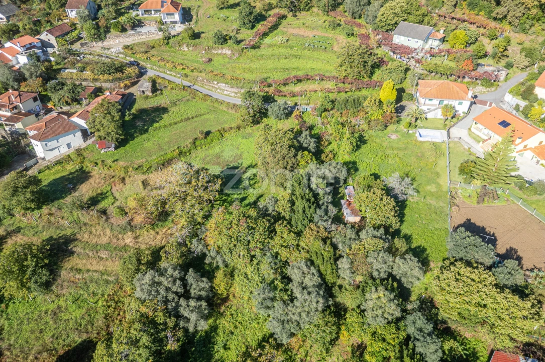 Terreno para Venda em Rebordões (Souto) Foto 8