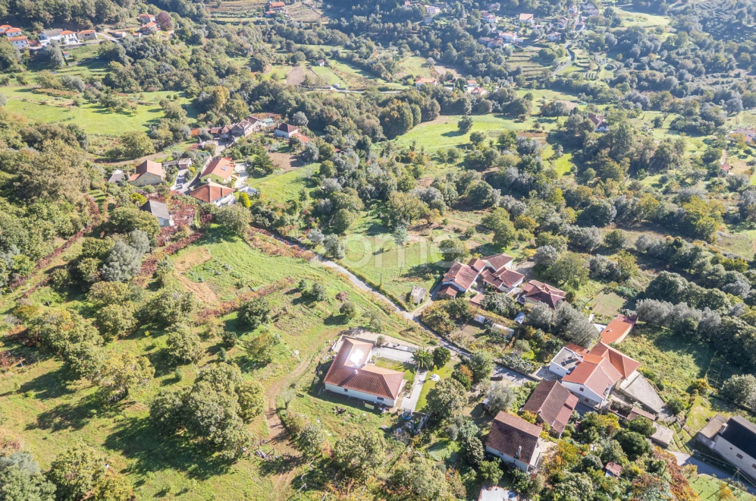 Terreno para Venda em Rebordões (Souto) Foto 10