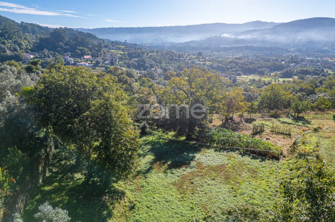 Terreno para Venda em Rebordões (Souto) Foto 6