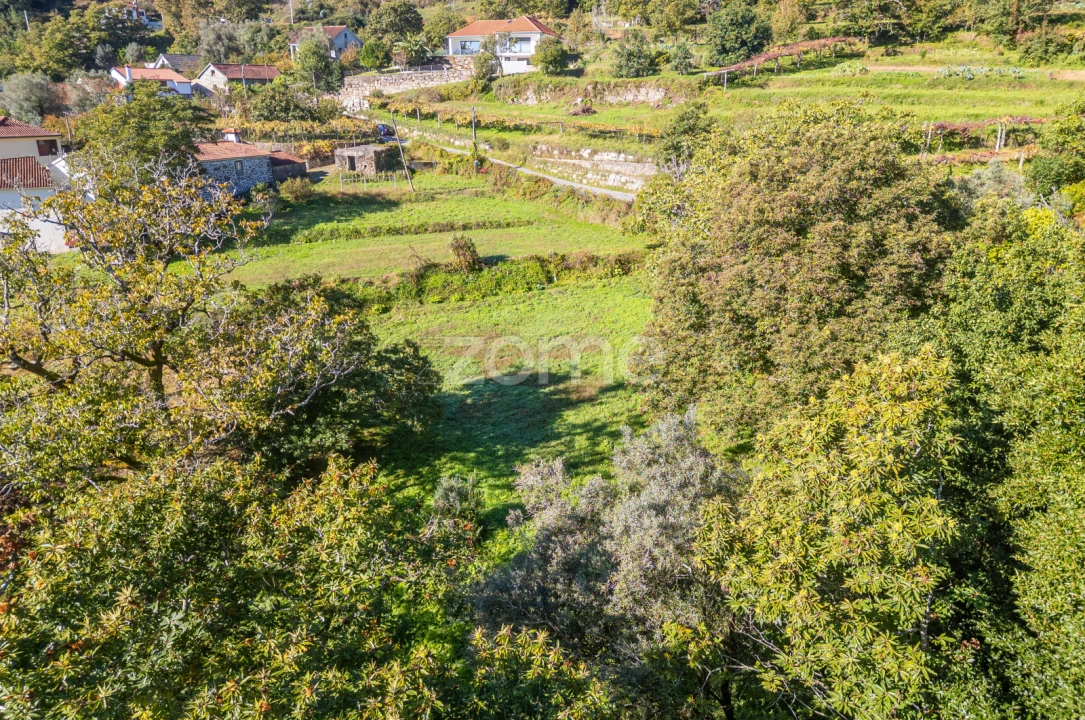 Terreno para Venda em Rebordões (Souto) Foto 14