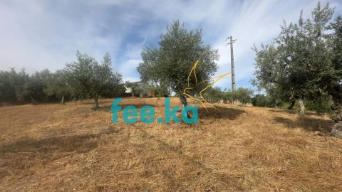 Quinta para Venda em Cebolais de Cima e Retaxo