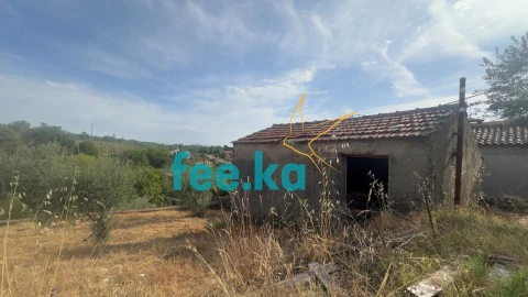 Quinta para Venda em Cebolais de Cima e Retaxo