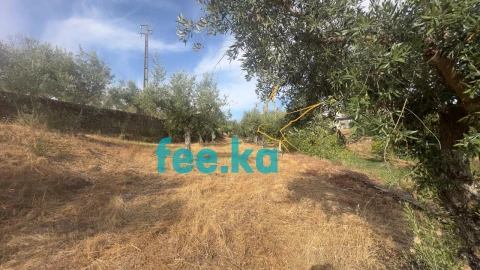 Quinta para Venda em Cebolais de Cima e Retaxo