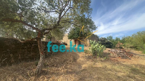 Quinta para Venda em Cebolais de Cima e Retaxo