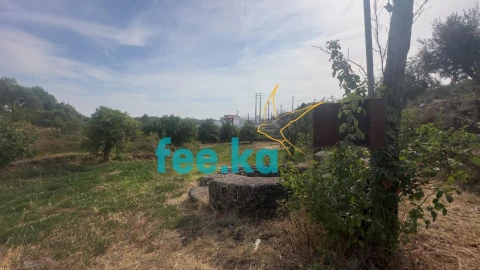 Quinta para Venda em Cebolais de Cima e Retaxo