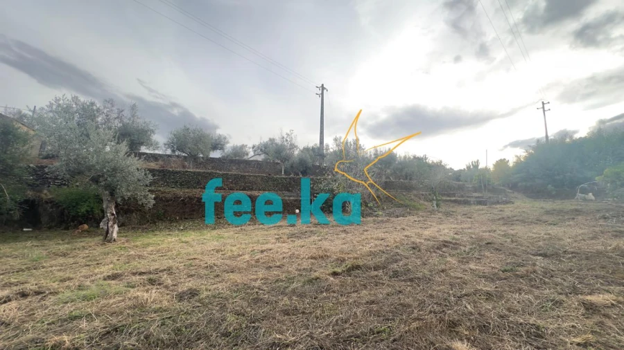 Quinta para Venda em Cebolais de Cima e Retaxo Foto 4