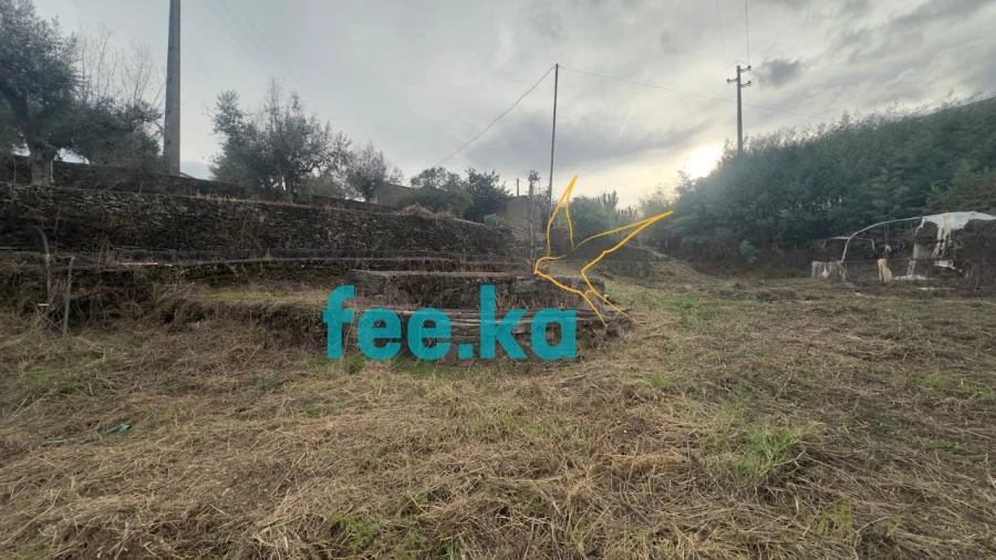 Quinta para Venda em Cebolais de Cima e Retaxo Foto 5