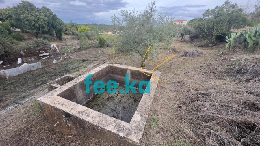 Quinta para Venda em Cebolais de Cima e Retaxo Foto 12