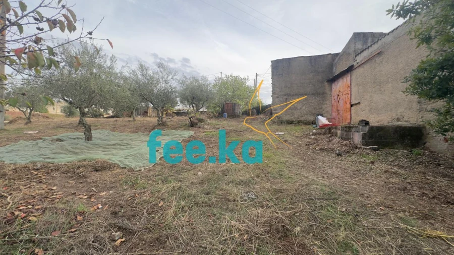 Quinta para Venda em Cebolais de Cima e Retaxo Foto 15