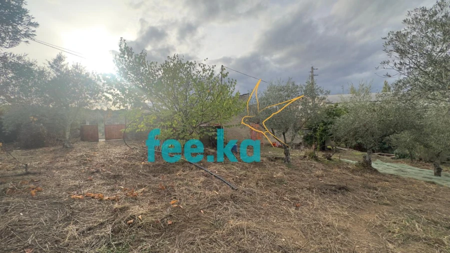 Quinta para Venda em Cebolais de Cima e Retaxo Foto 29