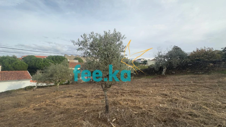 Quinta para Venda em Cebolais de Cima e Retaxo Foto 30