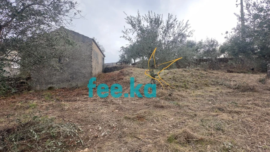 Quinta para Venda em Cebolais de Cima e Retaxo Foto 33