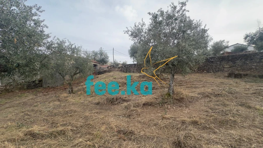 Quinta para Venda em Cebolais de Cima e Retaxo Foto 38
