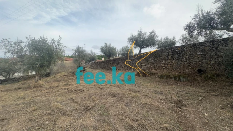 Quinta para Venda em Cebolais de Cima e Retaxo Foto 39