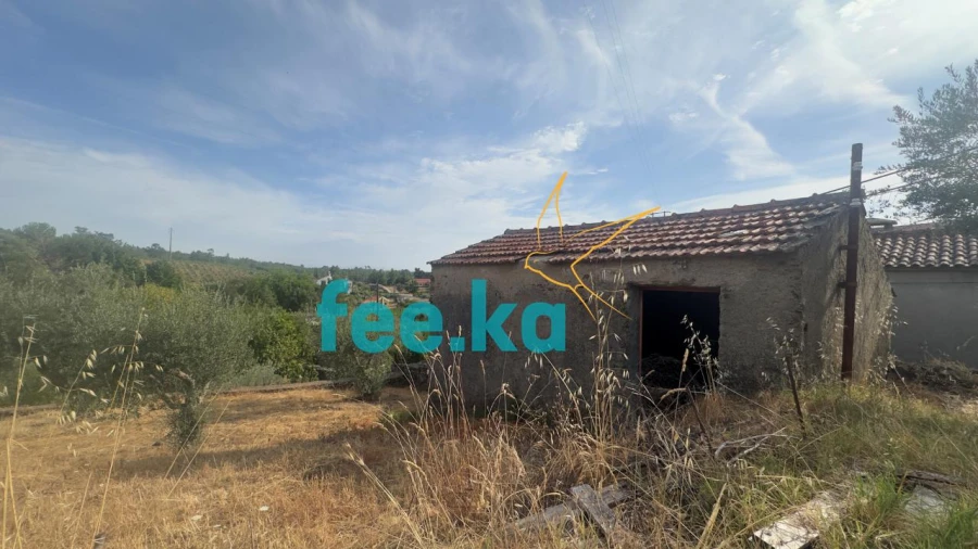 Quinta para Venda em Cebolais de Cima e Retaxo Foto 8